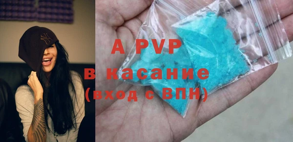 твердый Богданович
