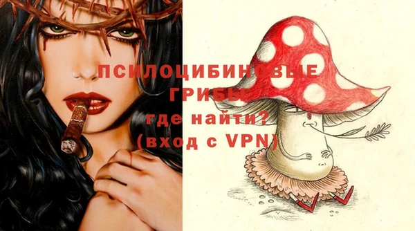 прущий лед Белокуриха