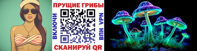 даркнет сайт  Богородицк  Псилоцибиновые грибы мицелий 
